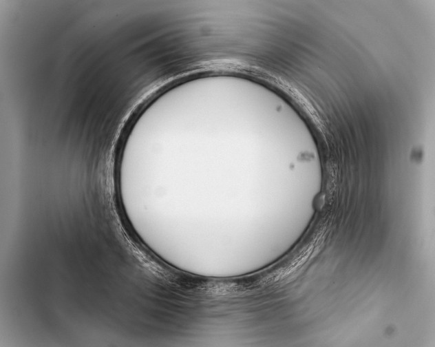 X0000103460939200810031455