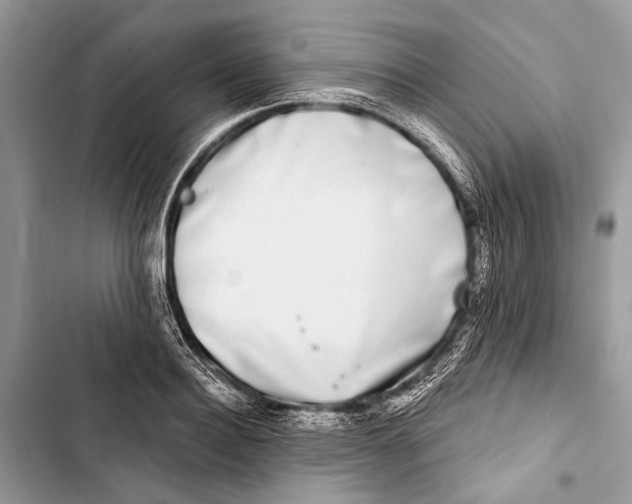 X0000103460940200810031455