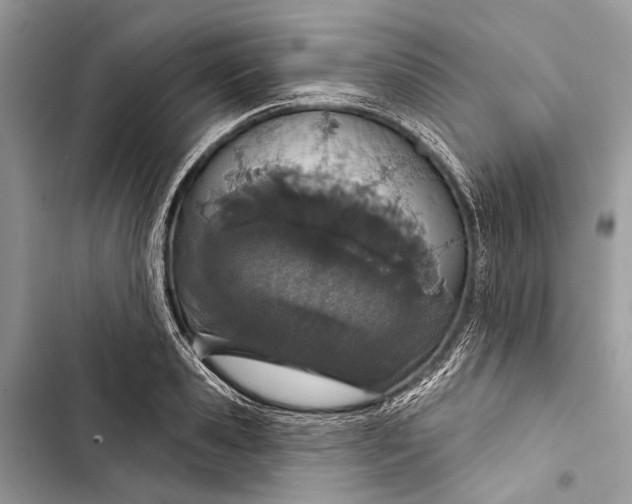 X0000103460941200810031455