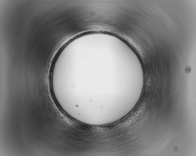 X0000103460943200810031455