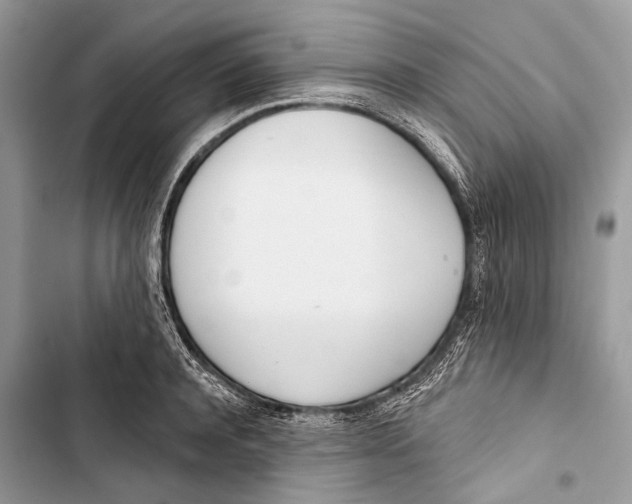 X0000103460944200810031455