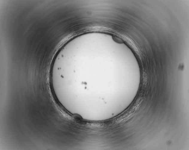 X0000103460946200810031455