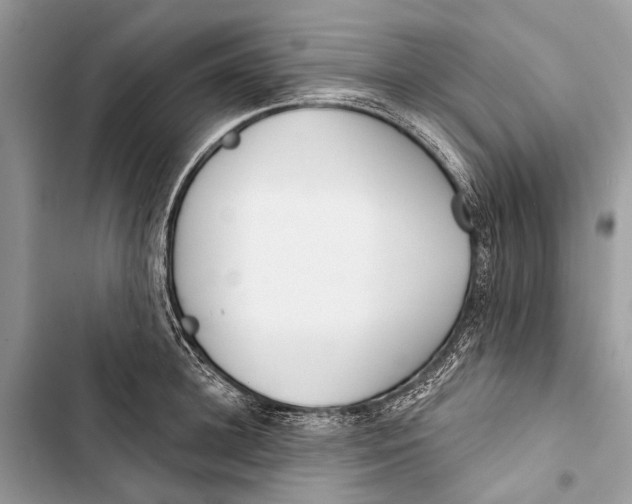 X0000103460948200810031455