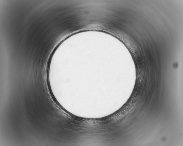 X0000103460950200810031455