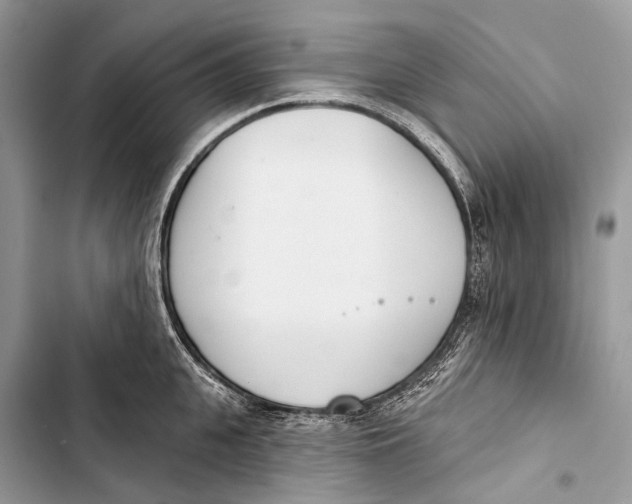 X0000103460951200810031455