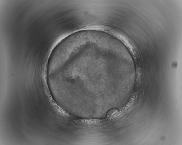 X0000103460952200810031455