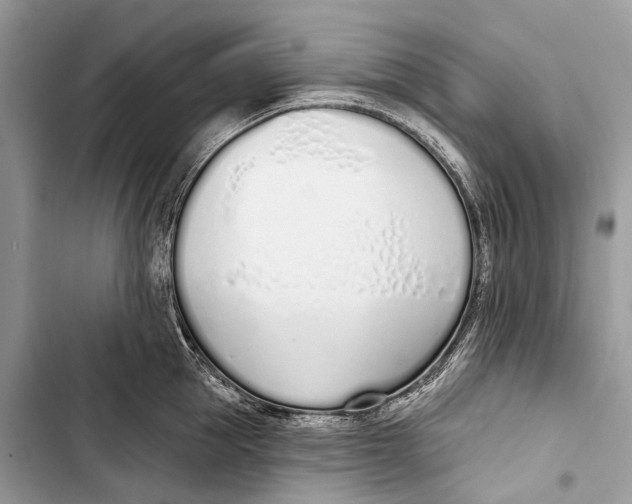 X0000103460953200810031455