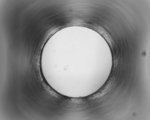 X0000103460954200810031455