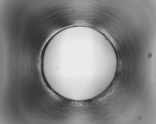 X0000103460955200810031455