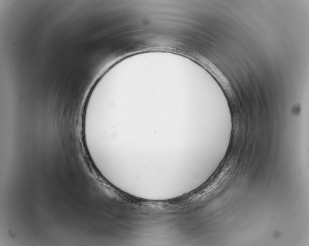 X0000103460956200810031455