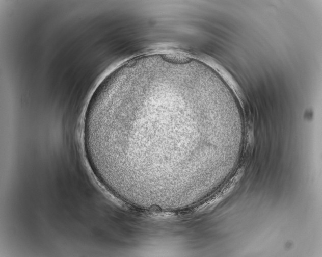 X0000103460957200810031455