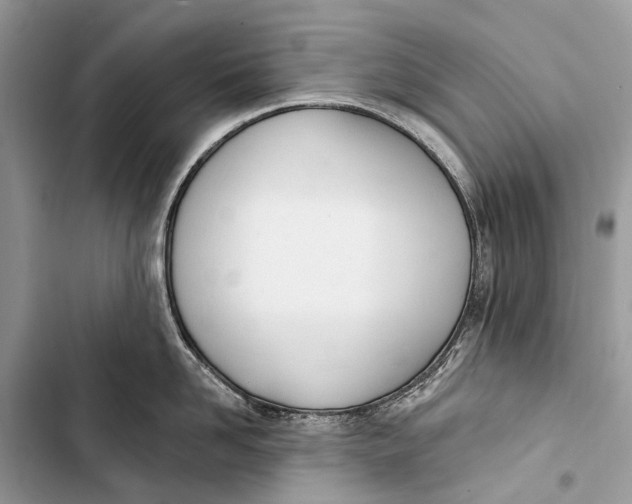 X0000103460958200810031455