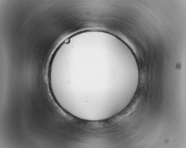 X0000103460959200810031455