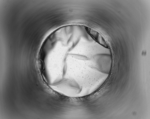 X0000103460960200810031455