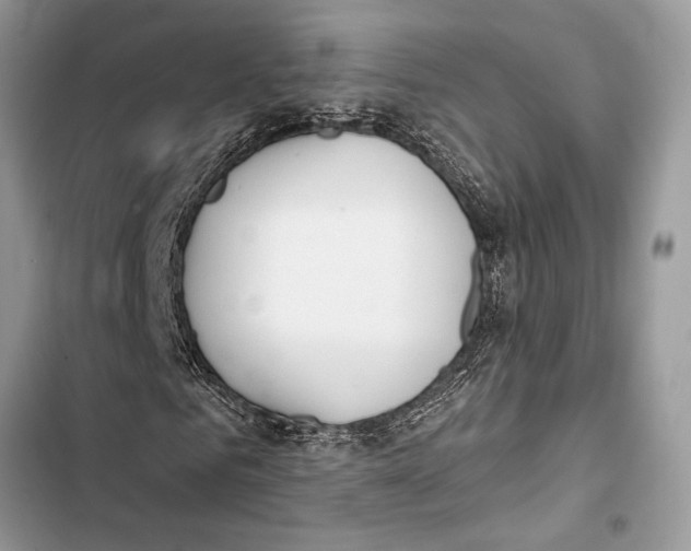 X0000103460961200810031454