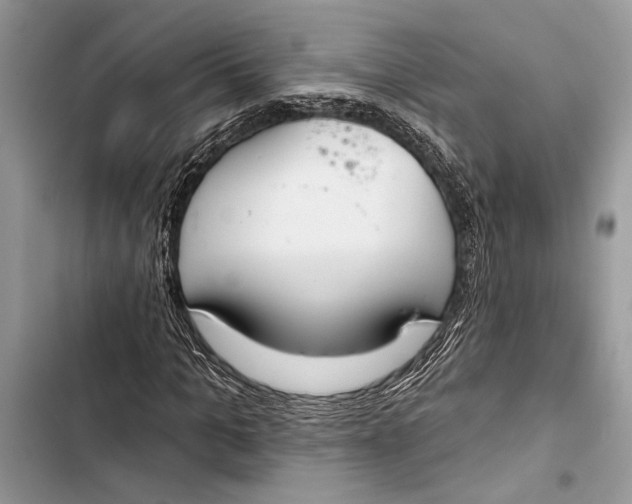 X0000103460965200810031454