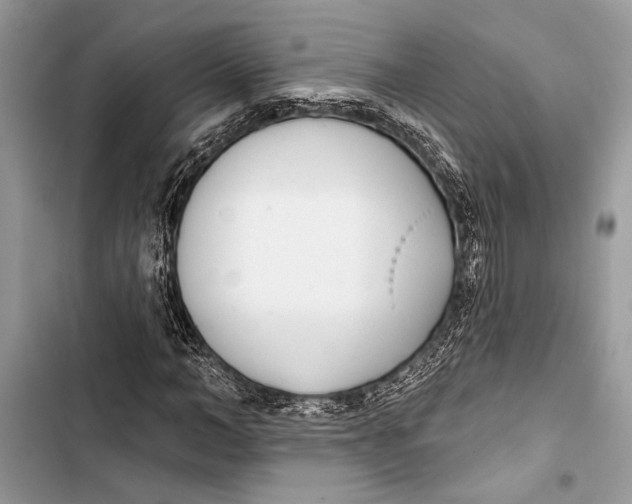 X0000103460966200810031454