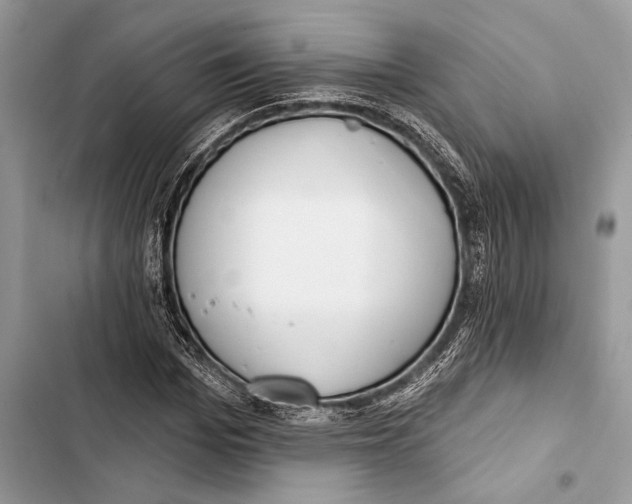 X0000103460969200810031454