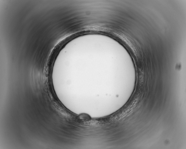 X0000103460971200810031454