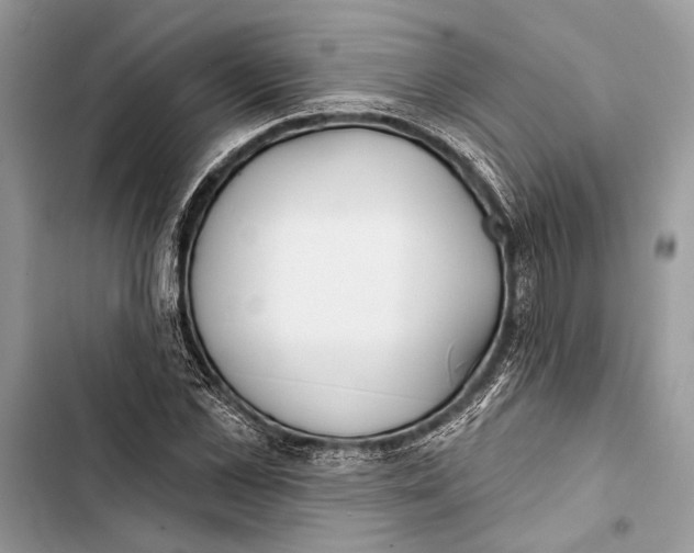 X0000103460973200810031454