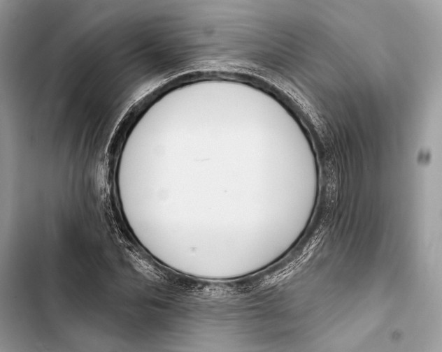 X0000103460974200810031454