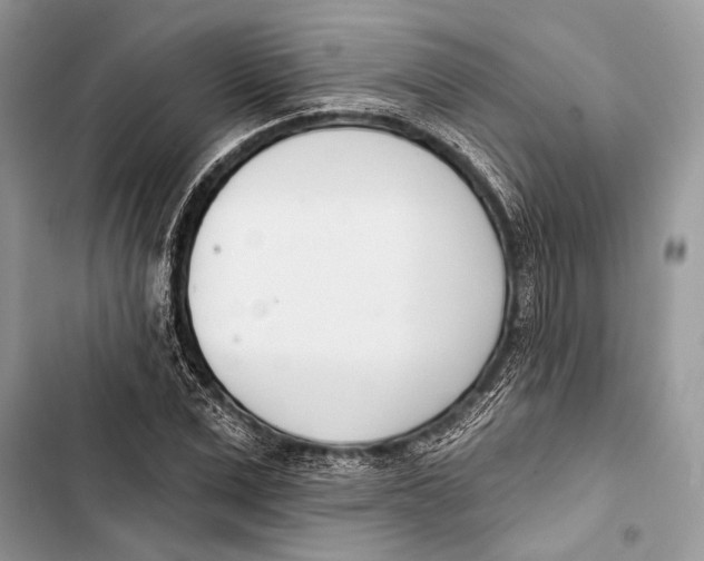 X0000103460975200810031454