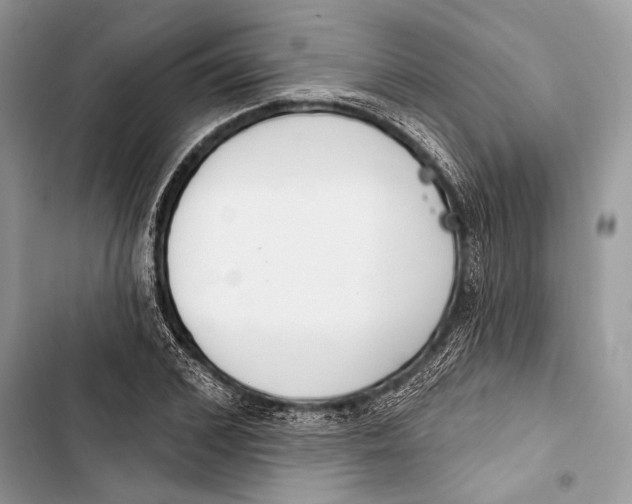 X0000103460976200810031454