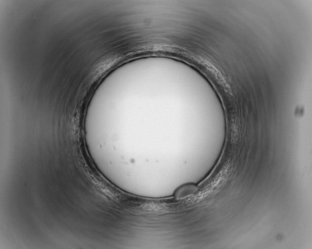 X0000103460977200810031454