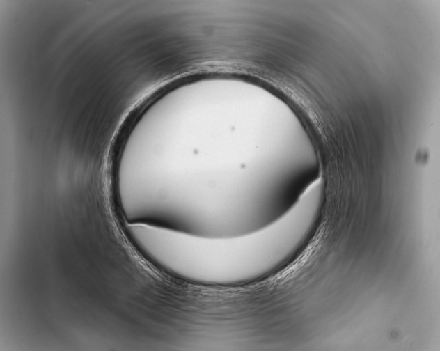 X0000103460981200810031454