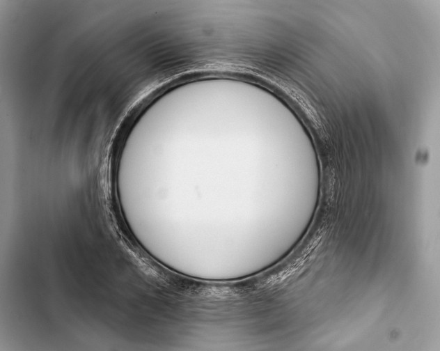 X0000103460982200810031454