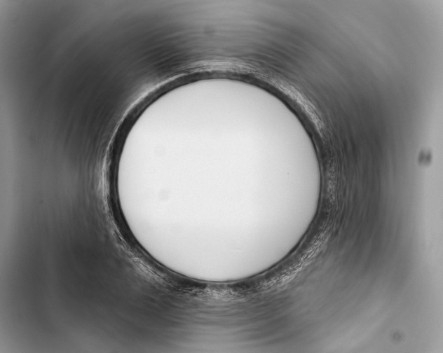 X0000103460983200810031454