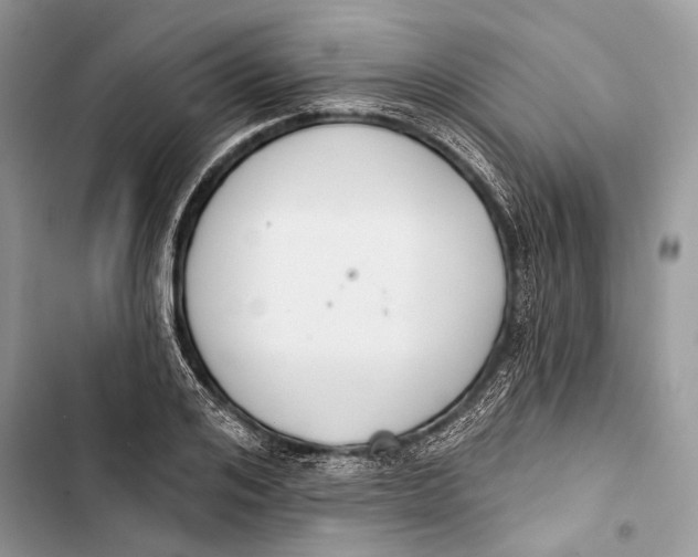 X0000103460984200810031454