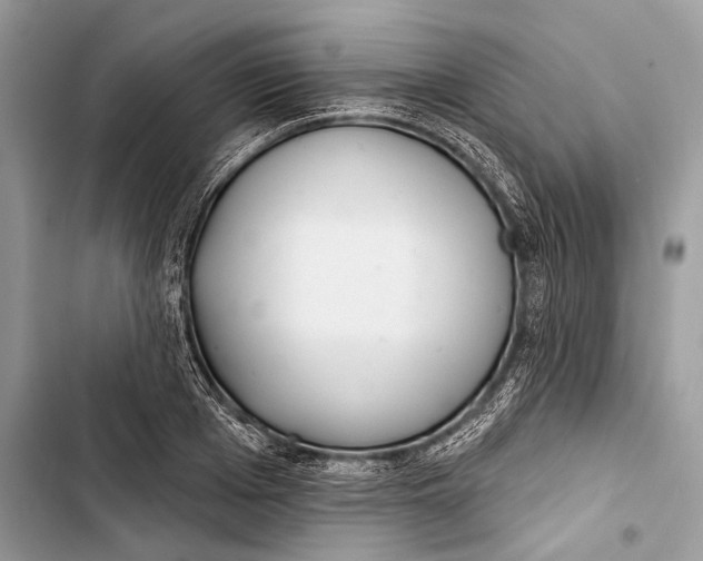 X0000103460985200810031454