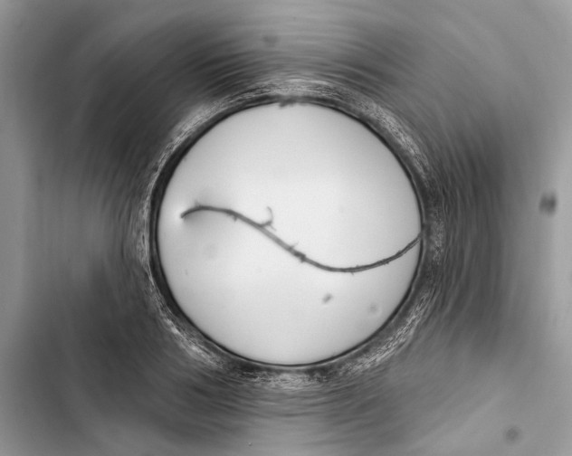 X0000103460986200810031454