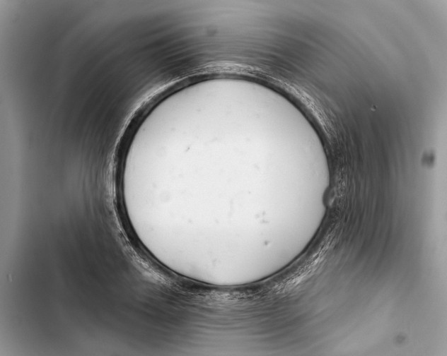 X0000103460987200810031454