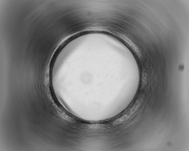 X0000103460988200810031454