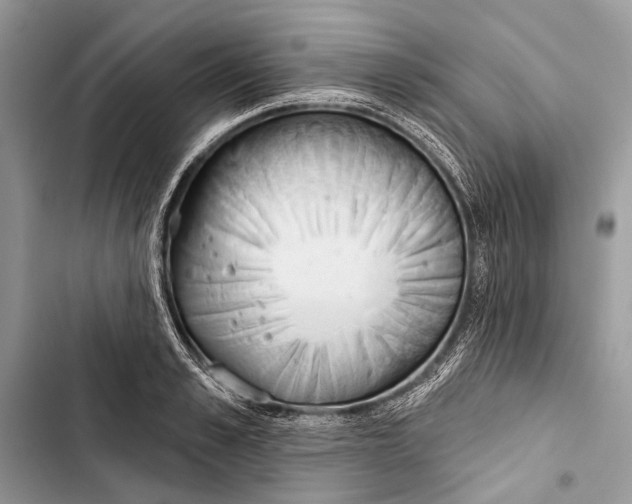 X0000103460989200810031454