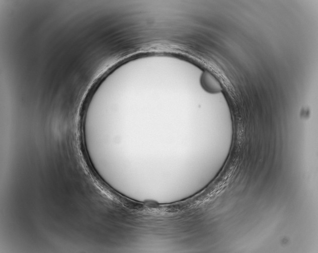 X0000103460990200810031454