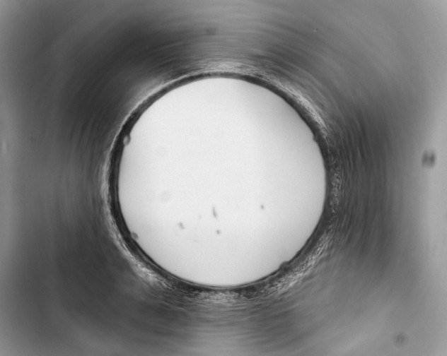 X0000103460991200810031454