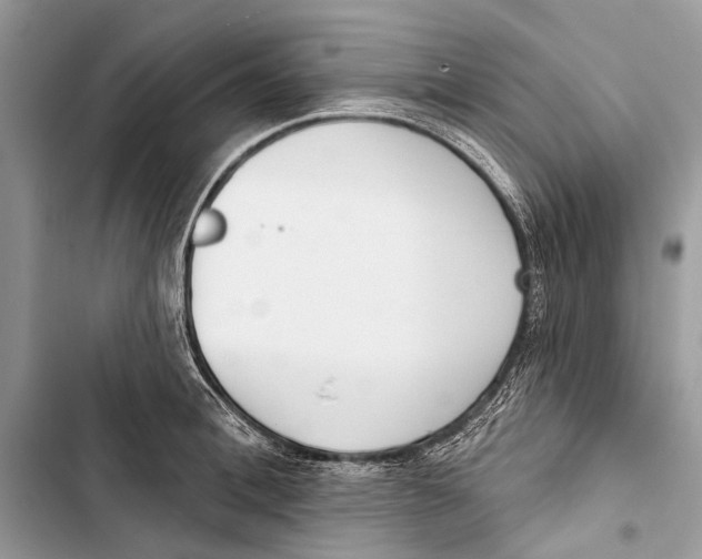 X0000103460996200810031454