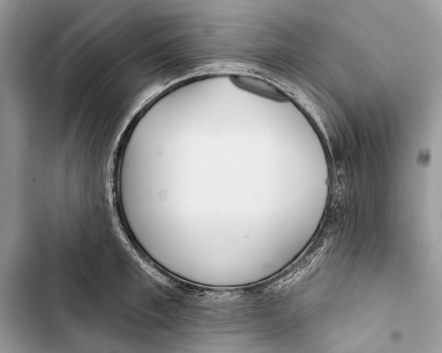 X0000103460997200810031454