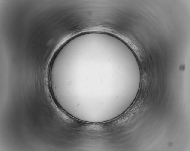 X0000103460998200810031454