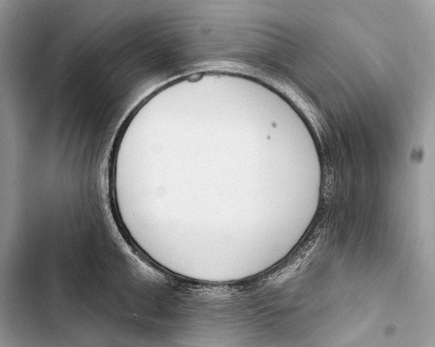 X0000103460999200810031454