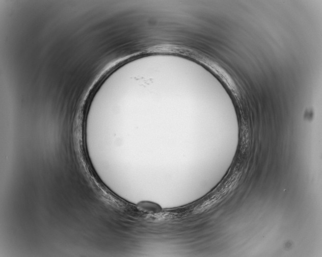 X0000103461000200810031454