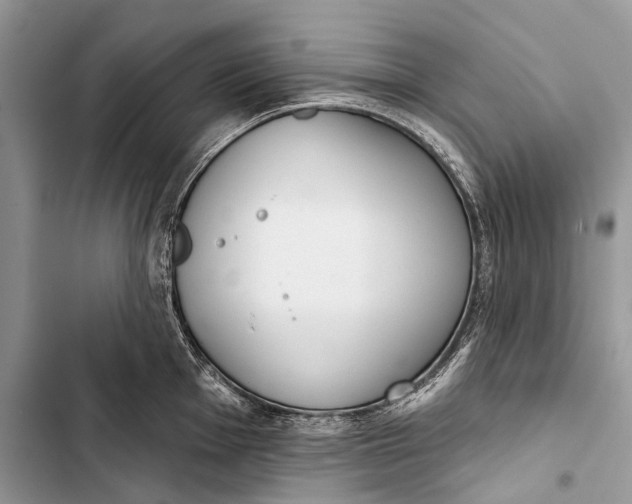 X0000103461001200810031454