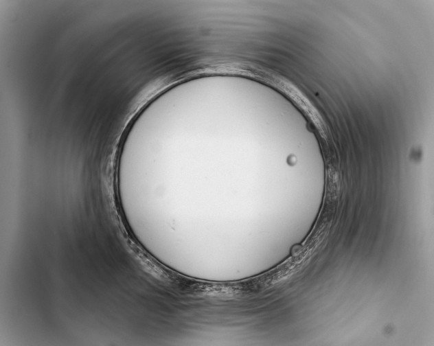 X0000103461002200810031454