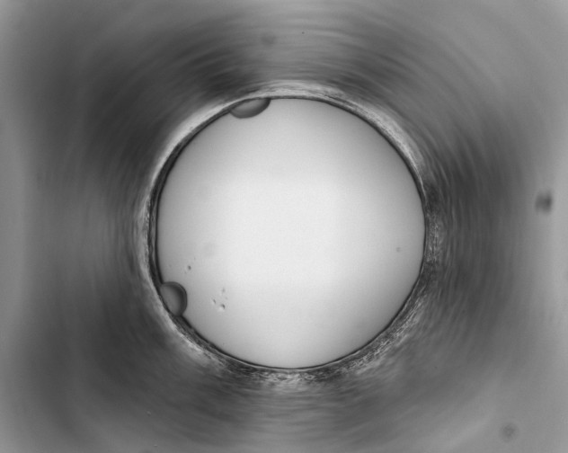 X0000103461003200810031454