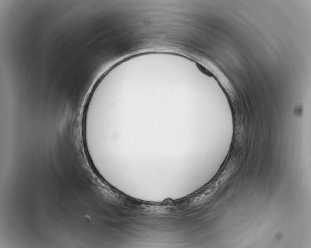 X0000103461004200810031454