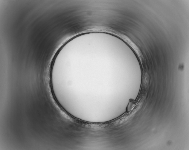 X0000103461005200810031454