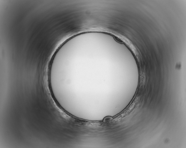 X0000103461006200810031454